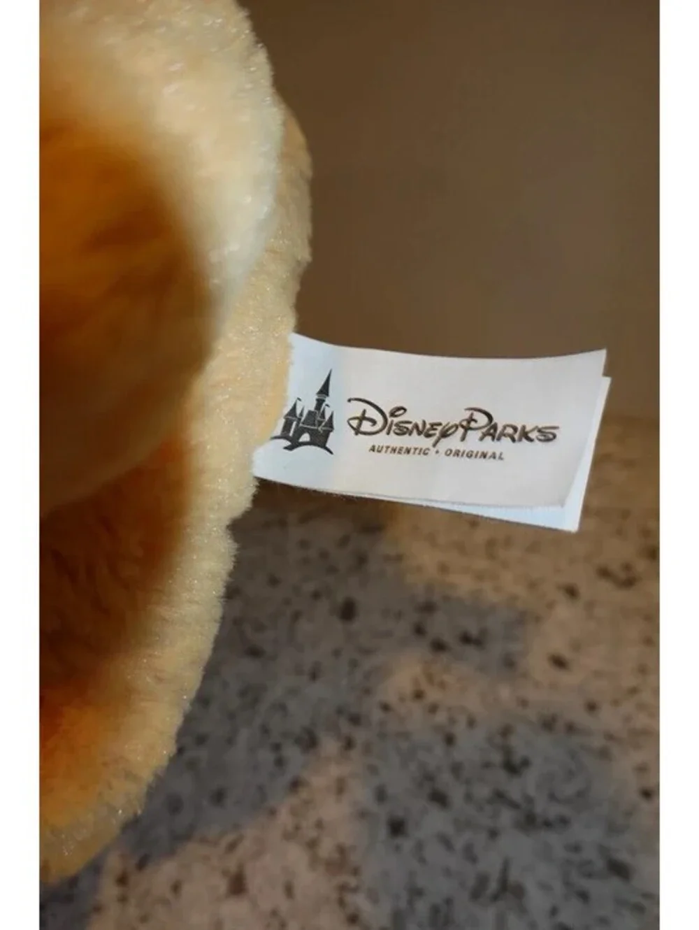 Disney parks dug dog